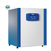Tủ ấm CO2 Haier HCP-168 (0-20%; 170L / 6,00)